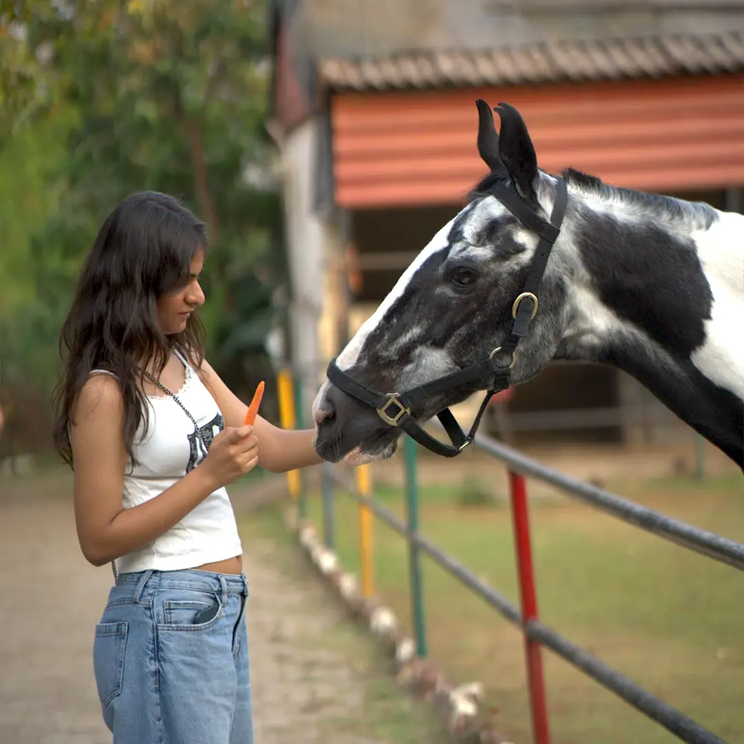 Horse riding trail at Aamby Valley City